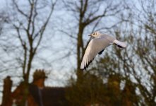 DSC_2939.jpg