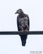 _DSC2572 low res.jpg