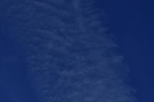 _ROY8970_01.jpg