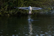 DSC_2902.jpg