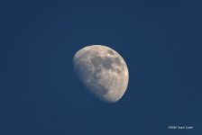 moon fb 500_1029.jpg