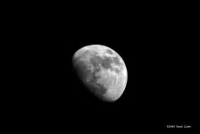 moon FB N BW 500_1029.jpg