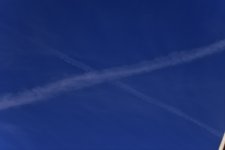 _ROY8974.jpg