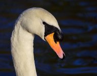DSC_3014.jpg