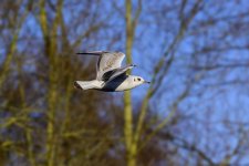 DSC_3073.jpg