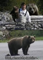 dave.jpg