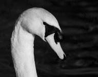 DSC_3014.jpg