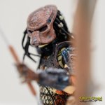 W_D85_3568.jpg