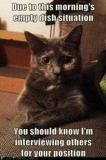 8B39C31A-B8D8-48C9-BE9B-BD440B5FE937.jpeg