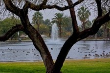 01-16-20-cr_D7K1456v1-ON1.jpg