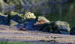 DSC_3316.jpg