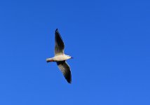 DSC_3195.jpg