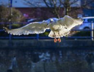DSC_3399.jpg