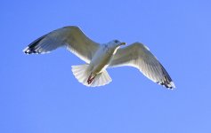 DSC_3382.jpg
