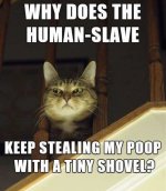 3CA74B15-21E2-450C-8652-835EF8FC809B.jpeg