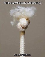 knot.jpg