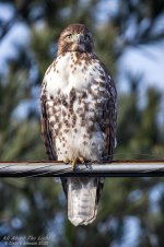 _DSC3119 low res.jpg