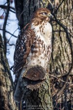 _DSC3280 low res.jpg