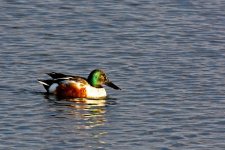 01-22-20-cr_D7K1507-ON1.jpg
