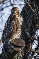 _DSC3330 low res.jpg