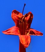 _ROY0455.jpg