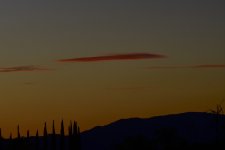 _ROY0463.jpg