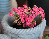 test-3.jpg