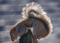 _DSC3499 low res.jpg