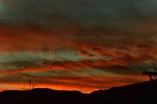 _ROY0946_01.jpg