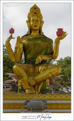 temple-7.jpg