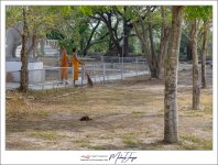 outside-temple-5.jpg