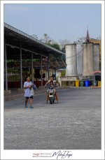 outside-temple-7.jpg