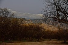 01-26-20-cr-_7500981-ON1.jpg