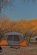 01-26-20-cr-_7500986-ON1.jpg