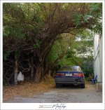 walk-4.jpg