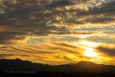 01-30-20-cr-_D7K1530-ON1.jpg