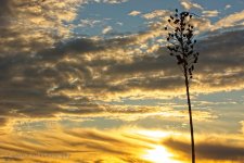 01-30-20-cr-_D7K1531-ON1.jpg