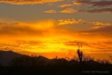 01-30-20-cr-_D7K1541-ON1.jpg