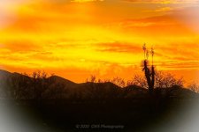 01-30-20-cr-_D7K1546-ON1.jpg