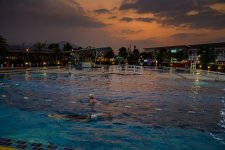 swimming-sunset-2.jpg