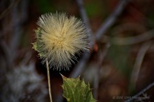 01-30-20-cr-_D7K1535-ON1.jpg