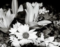 BWFlowers-1.jpg