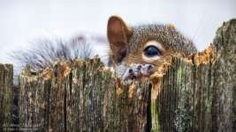 _DSC3697 low res.jpg