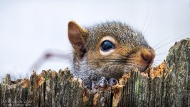 _DSC3713 low res.jpg