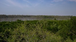 bridge-3.jpg
