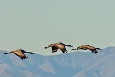 02-01-20-cr-_D7K1552-ON1.jpg