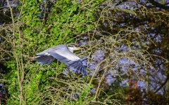 DSC_0777.jpg