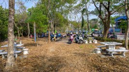 park-1.jpg
