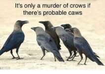 caws.jpg