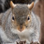 _DSC3825 low res.jpg